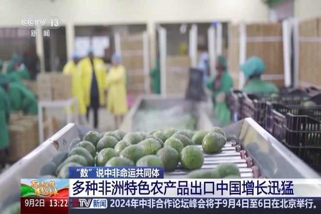 4465921289272932209.jpg 4465921289272932209.jpg